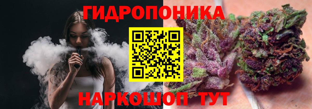 Каннабис индика Петрозаводск